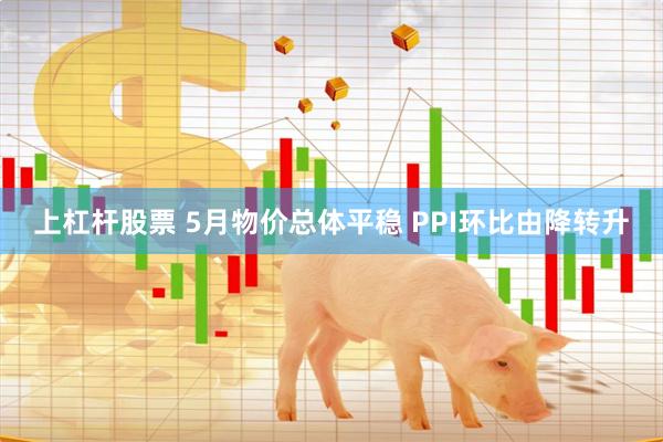 上杠杆股票 5月物价总体平稳 PPI环比由降转升