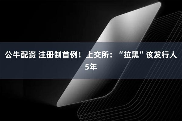 公牛配资 注册制首例！上交所：“拉黑”该发行人5年