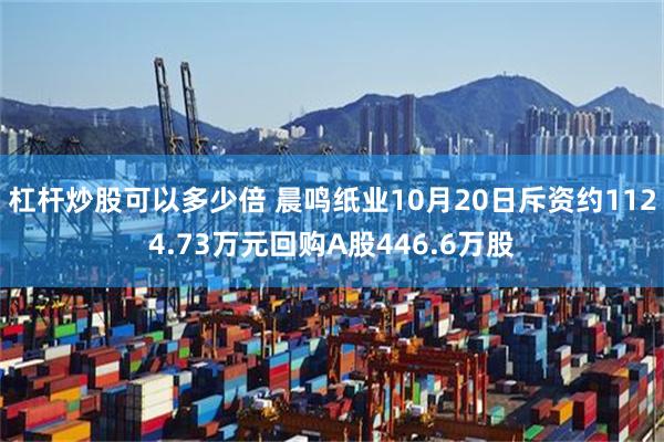 杠杆炒股可以多少倍 晨鸣纸业10月20日斥资约1124.73万元回购A股446.6万股