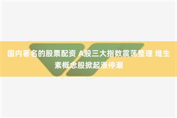 国内著名的股票配资 A股三大指数震荡整理 维生素概念股掀起涨停潮