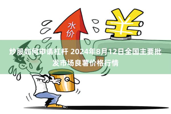 炒股如何申请杠杆 2024年8月12日全国主要批发市场良薯价格行情