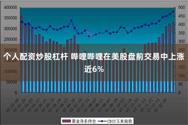 个人配资炒股杠杆 哔哩哔哩在美股盘前交易中上涨近6%