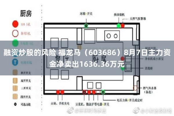 融资炒股的风险 福龙马（603686）8月7日主力资金净卖出1636.36万元