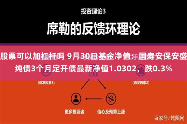 股票可以加杠杆吗 9月30日基金净值：国寿安保安盛纯债3个月定开债最新净值1.0302，跌0.3%