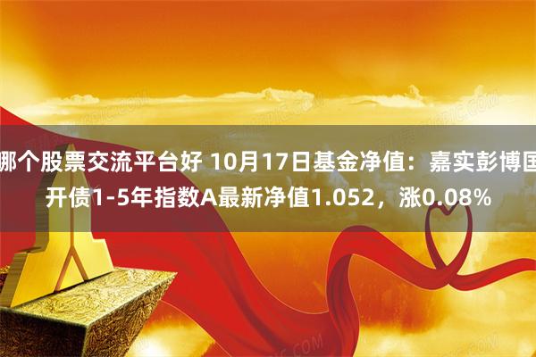 哪个股票交流平台好 10月17日基金净值：嘉实彭博国开债1-5年指数A最新净值1.052，涨0.08%