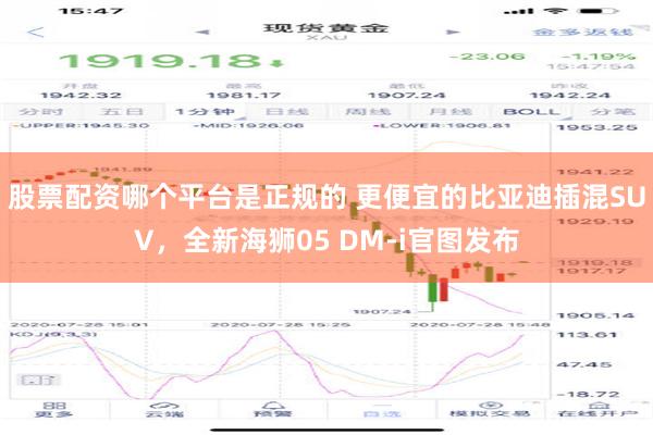 股票配资哪个平台是正规的 更便宜的比亚迪插混SUV，全新海狮05 DM-i官图发布