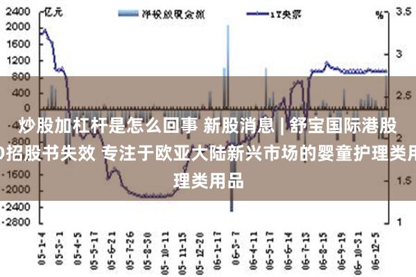 炒股加杠杆是怎么回事 新股消息 | 舒宝国际港股IPO招股书失效 专注于欧亚大陆新兴市场的婴童护理类用品