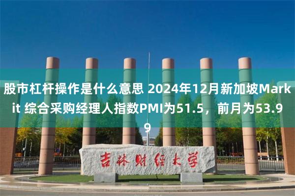 股市杠杆操作是什么意思 2024年12月新加坡Markit 综合采购经理人指数PMI为51.5，前月为53.9