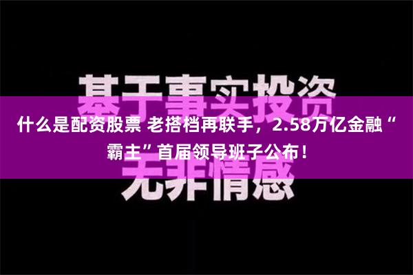 什么是配资股票 老搭档再联手，2.58万亿金融“霸主”首届领导班子公布！