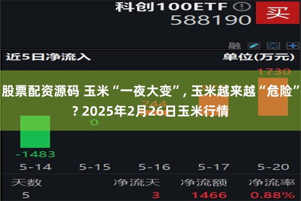 股票配资源码 玉米“一夜大变”, 玉米越来越“危险”? 2025年2月26日玉米行情