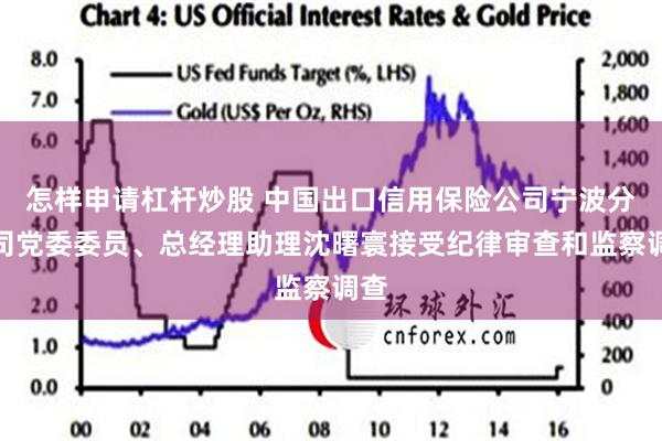 怎样申请杠杆炒股 中国出口信用保险公司宁波分公司党委委员、总经理助理沈曙寰接受纪律审查和监察调查